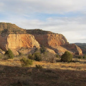 Meet your Posher, Colleen